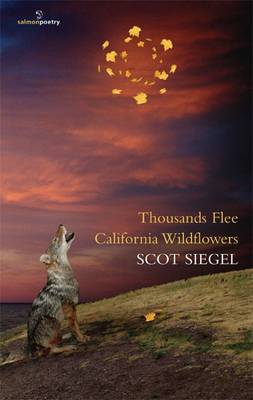 Thousands Flee California Wildflowers - Agenda Bookshop