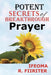 Potent Secrets of Breakthrough Prayer - Agenda Bookshop