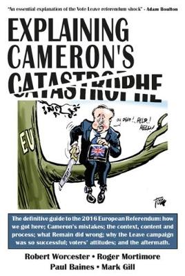 Explaining Cameron''s Catastrophe - Agenda Bookshop