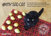 My Sad Cat Notecards - Agenda Bookshop