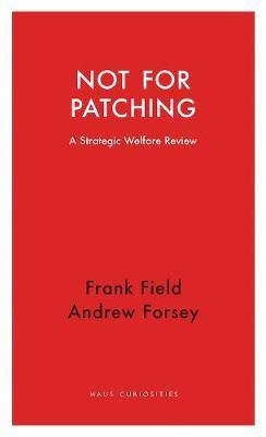 Not for Patching: A Strategic Welfare Review - Agenda Bookshop