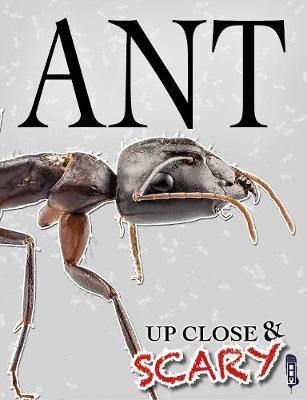 Up Close & Scary Ant - Agenda Bookshop