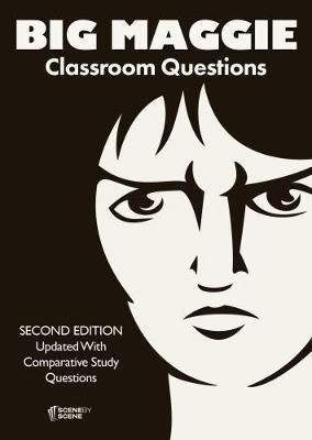 Big Maggie Classroom Questions - Agenda Bookshop