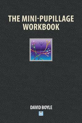 The Mini-Pupillage Workbook - Agenda Bookshop