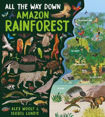 All The Way Down: Amazon Rainforest - Agenda Bookshop