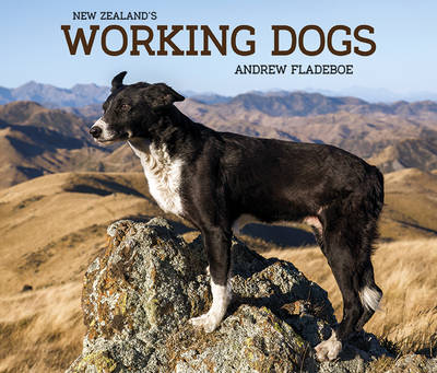 New Zealand''s Working Dogs - Agenda Bookshop