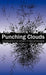 Punching Clouds: An Introduction to the Complexity of Public Decision-Making - Agenda Bookshop