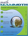 Math Mammoth Grade 2-B Worktext - Agenda Bookshop