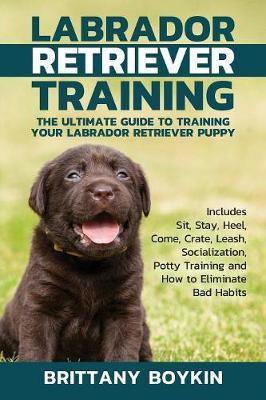 Labrador Retriever Training: The Ultimate Guide to Training Your Labrador Retriever Puppy: Includes Sit, Stay, Heel, Come, Crate, Leash, Socialization, Potty Training and How to Eliminate Bad Habits - Agenda Bookshop