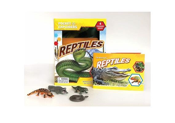 PD POCKET EXPLORERS REPTILES - Agenda Bookshop