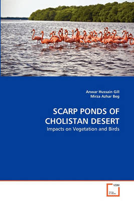 Scarp Ponds of Cholistan Desert - Agenda Bookshop