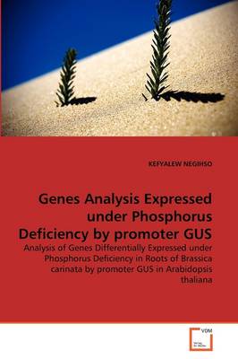 Genes Analysis Expressed Under Phosphorus Deficiency by Promoter Gus - Agenda Bookshop