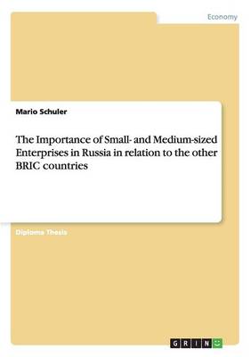 The Importance of Small- and Medium-sized Enterprises in Russia in relation to the other BRIC countries - Agenda Bookshop