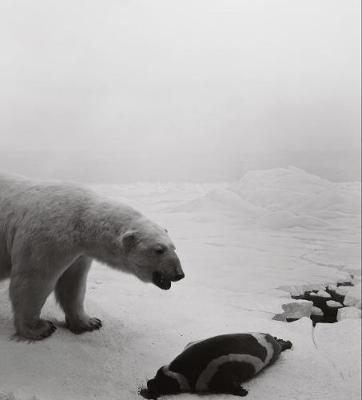 Hiroshi Sugimoto: Dioramas - Agenda Bookshop