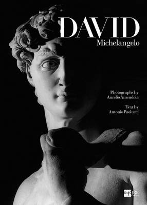 David: Michelangelo - Agenda Bookshop