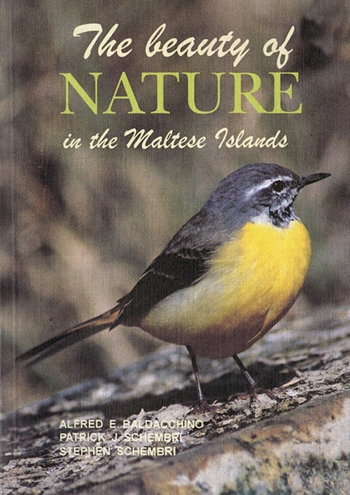 The Beauty of Nature in the Maltese Islands