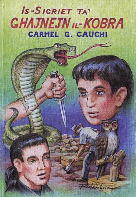 Is-Sigriet ta’ Għajnejn il-Kobra