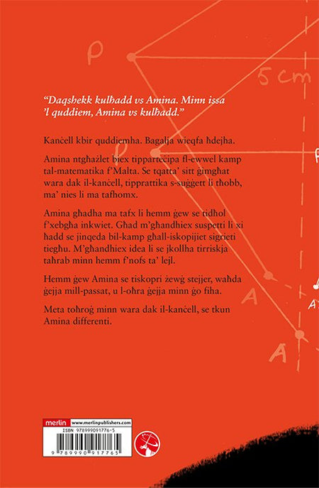 Amina back cover