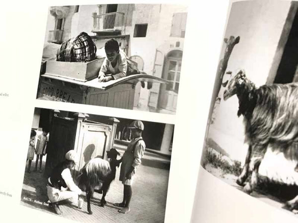 Valletta – Lost City (Vol 2) - Agenda Bookshop