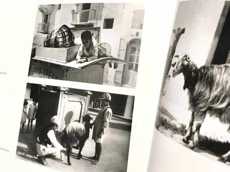 Valletta – Lost City (Vol 2) - Agenda Bookshop