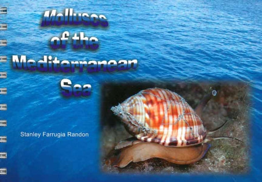 Molluscs of the Mediterranean - Agenda Bookshop