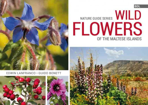 Wild Flowers of the Maltese Islands  Nature Guide Series - Agenda Bookshop
