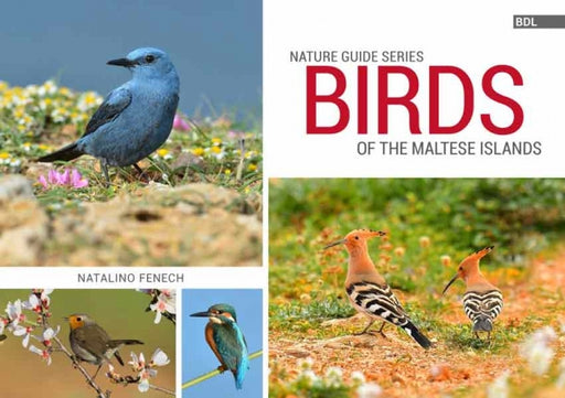 Birds of the Maltese Islands  Nature Guide Series - Agenda Bookshop