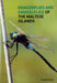 Dragonflies and Damselflies of the Maltese Islands - Agenda Bookshop