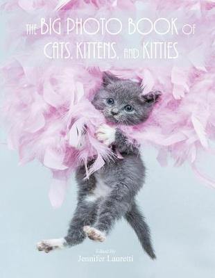 The Big Photo Book of Cats, Kittens, and Kitties: Over 150 Super Size High Quality Photos - Agenda Bookshop