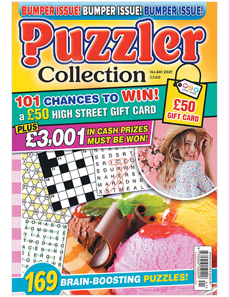 Puzzler Collection - Agenda Bookshop