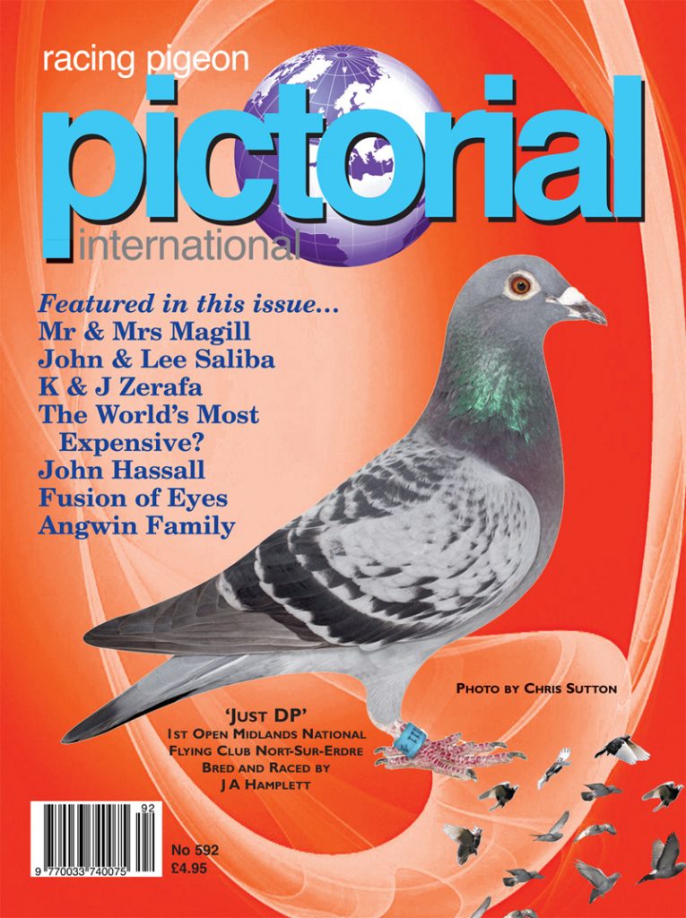 Racing Pigeon Pictorial International - Agenda Bookshop